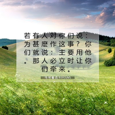 Picture 07 - 马 可 福 音 11:3 CUVS - 若 有 人 对 你 们 说 ： 为 甚 麽 作 - Bible Verse Picture