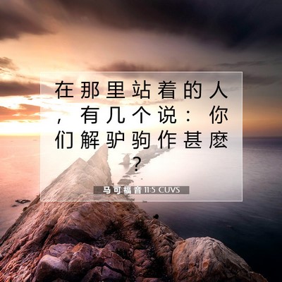 Picture 07 - 马 可 福 音 11:5 CUVS - 在 那 里 站 着 的 人 ， 有 几 个 说 - Bible Verse Picture