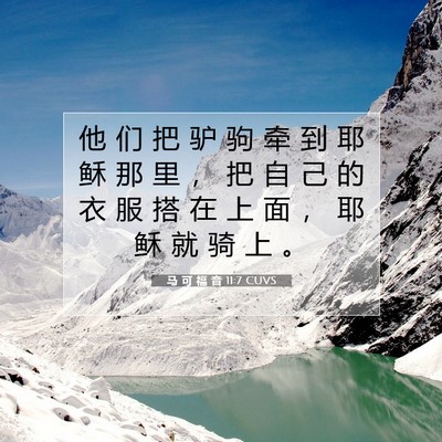 Picture 07 - 马 可 福 音 11:7 CUVS - 他 们 把 驴 驹 牵 到 耶 稣 那 里 ， - Bible Verse Picture