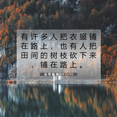 Picture 07 - 马 可 福 音 11:8 CUVS - 有 许 多 人 把 衣 服 铺 在 路 上 ， - Bible Verse Picture