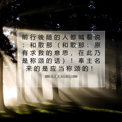 Picture 07 - 马 可 福 音 11:9 CUVS - 前 行 後 随 的 人 都 喊 着 说 ： 和 - Bible Verse Picture
