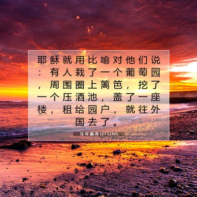 Picture 07 - 马 可 福 音 12:1 CUVS - 耶 稣 就 用 比 喻 对 他 们 说 ： 有 - Bible Verse Picture