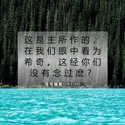 Picture 07 - 马 可 福 音 12:11 CUVS - 这 是 主 所 作 的 ， 在 我 们 眼 中 - Bible Verse Picture
