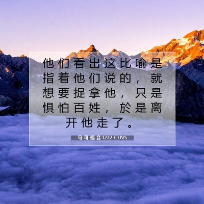 Picture 07 - 马 可 福 音 12:12 CUVS - 他 们 看 出 这 比 喻 是 指 着 他 们 - Bible Verse Picture
