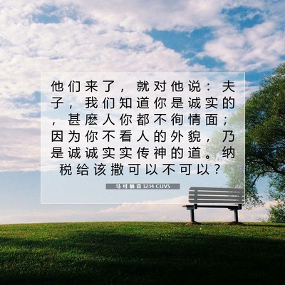 Picture 07 - 马 可 福 音 12:14 CUVS - 他 们 来 了 ， 就 对 他 说 ： 夫 子 - Bible Verse Picture