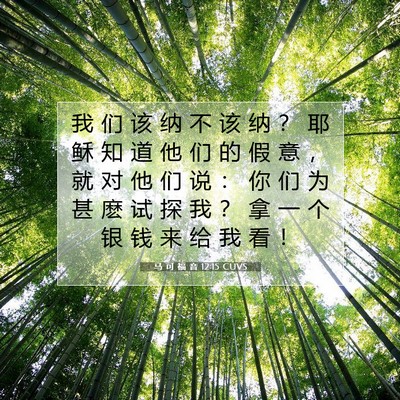 Picture 07 - 马 可 福 音 12:15 CUVS - 我 们 该 纳 不 该 纳 ？ 耶 稣 知 道 - Bible Verse Picture
