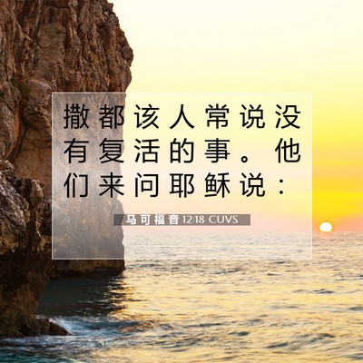Picture 07 - 马 可 福 音 12:18 CUVS - 撒 都 该 人 常 说 没 有 复 活 的 事 - Bible Verse Picture