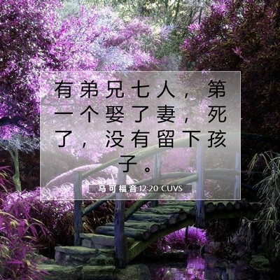 Picture 07 - 马 可 福 音 12:20 CUVS - 有 弟 兄 七 人 ， 第 一 个 娶 了 妻 - Bible Verse Picture