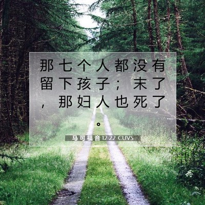 Picture 07 - 马 可 福 音 12:22 CUVS - 那 七 个 人 都 没 有 留 下 孩 子 ； - Bible Verse Picture