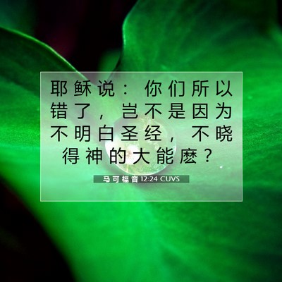 Picture 07 - 马 可 福 音 12:24 CUVS - 耶 稣 说 ： 你 们 所 以 错 了 ， 岂 - Bible Verse Picture