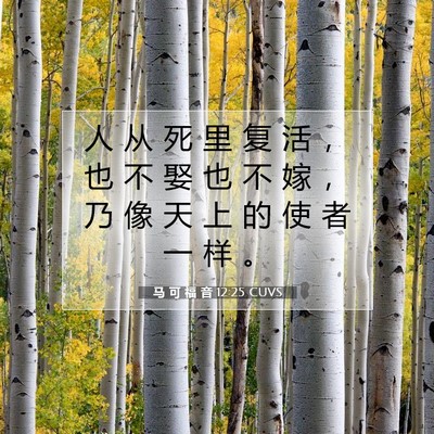 Picture 07 - 马 可 福 音 12:25 CUVS - 人 从 死 里 复 活 ， 也 不 娶 也 不 - Bible Verse Picture