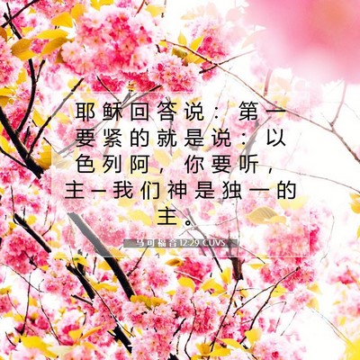 Picture 07 - 马 可 福 音 12:29 CUVS - 耶 稣 回 答 说 ： 第 一 要 紧 的 就 - Bible Verse Picture