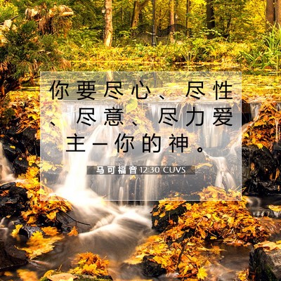 Picture 07 - 马 可 福 音 12:30 CUVS - 你 要 尽 心 、 尽 性 、 尽 意 、 尽 - Bible Verse Picture