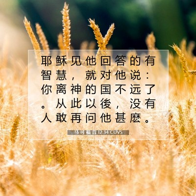 Picture 07 - 马 可 福 音 12:34 CUVS - 耶 稣 见 他 回 答 的 有 智 慧 ， 就 - Bible Verse Picture