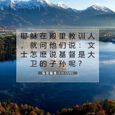Picture 07 - 马 可 福 音 12:35 CUVS - 耶 稣 在 殿 里 教 训 人 ， 就 问 他 - Bible Verse Picture