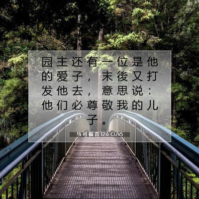 Picture 07 - 马 可 福 音 12:6 CUVS - 园 主 还 有 一 位 是 他 的 爱 子 ， - Bible Verse Picture