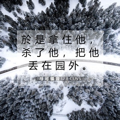 Picture 07 - 马 可 福 音 12:8 CUVS - 於 是 拿 住 他 ， 杀 了 他 ， 把 他 - Bible Verse Picture
