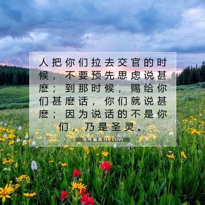 Picture 07 - 马 可 福 音 13:11 CUVS - 人 把 你 们 拉 去 交 官 的 时 候 ， - Bible Verse Picture