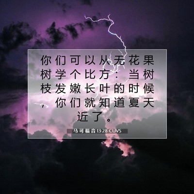 Picture 07 - 马 可 福 音 13:28 CUVS - 你 们 可 以 从 无 花 果 树 学 个 比 - Bible Verse Picture
