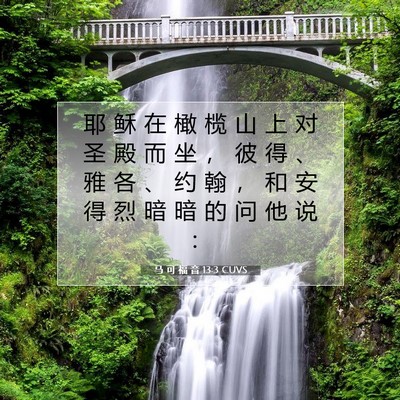 Picture 07 - 马 可 福 音 13:3 CUVS - 耶 稣 在 橄 榄 山 上 对 圣 殿 而 坐 - Bible Verse Picture