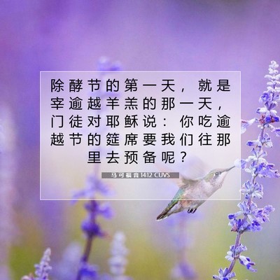 Picture 07 - 马 可 福 音 14:12 CUVS - 除 酵 节 的 第 一 天 ， 就 是 宰 逾 - Bible Verse Picture