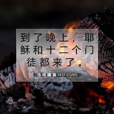 Picture 07 - 马 可 福 音 14:17 CUVS - 到 了 晚 上 ， 耶 稣 和 十 二 个 门 - Bible Verse Picture