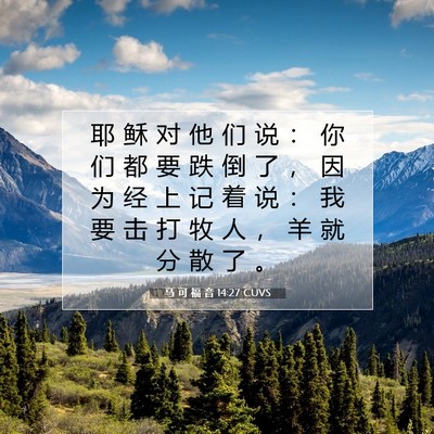 Picture 07 - 马 可 福 音 14:27 CUVS - 耶 稣 对 他 们 说 ： 你 们 都 要 跌 - Bible Verse Picture