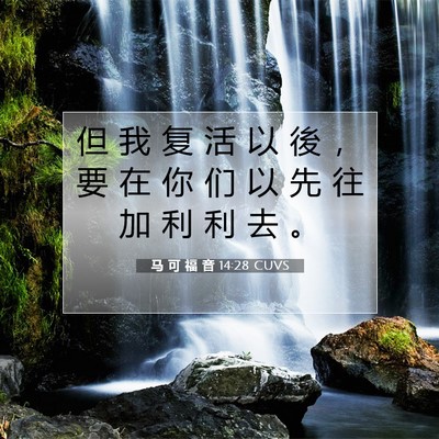 Picture 07 - 马 可 福 音 14:28 CUVS - 但 我 复 活 以 後 ， 要 在 你 们 以 - Bible Verse Picture
