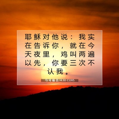 Picture 07 - 马 可 福 音 14:30 CUVS - 耶 稣 对 他 说 ： 我 实 在 告 诉 你 - Bible Verse Picture