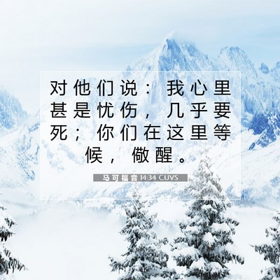 Picture 07 - 马 可 福 音 14:34 CUVS - 对 他 们 说 ： 我 心 里 甚 是 忧 伤 - Bible Verse Picture