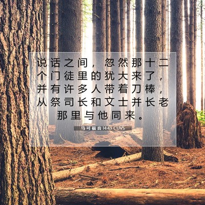Picture 07 - 马 可 福 音 14:43 CUVS - 说 话 之 间 ， 忽 然 那 十 二 个 门 - Bible Verse Picture