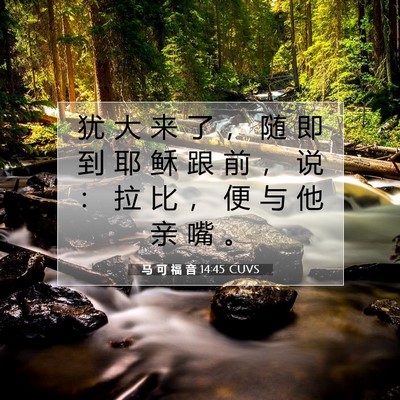 Picture 07 - 马 可 福 音 14:45 CUVS - 犹 大 来 了 ， 随 即 到 耶 稣 跟 前 - Bible Verse Picture