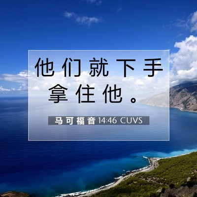 Picture 07 - 马 可 福 音 14:46 CUVS - 他 们 就 下 手 拿 住 他 - Bible Verse Picture