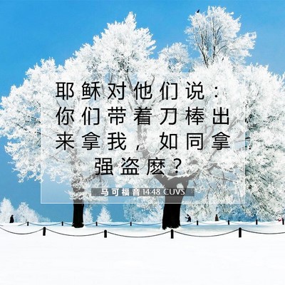 Picture 07 - 马 可 福 音 14:48 CUVS - 耶 稣 对 他 们 说 ： 你 们 带 着 刀 - Bible Verse Picture