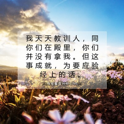 Picture 07 - 马 可 福 音 14:49 CUVS - 我 天 天 教 训 人 ， 同 你 们 在 殿 - Bible Verse Picture