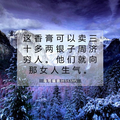 Picture 07 - 马 可 福 音 14:5 CUVS - 这 香 膏 可 以 卖 三 十 多 两 银 子 - Bible Verse Picture
