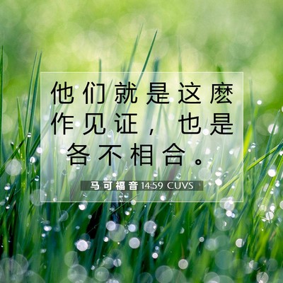 Picture 07 - 马 可 福 音 14:59 CUVS - 他 们 就 是 这 麽 作 见 证 ， 也 是 - Bible Verse Picture
