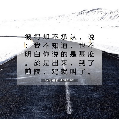 Picture 07 - 马 可 福 音 14:68 CUVS - 彼 得 却 不 承 认 ， 说 ： 我 不 知 - Bible Verse Picture