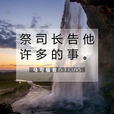Picture 07 - 马 可 福 音 15:3 CUVS - 祭 司 长 告 他 许 多 的 事 - Bible Verse Picture