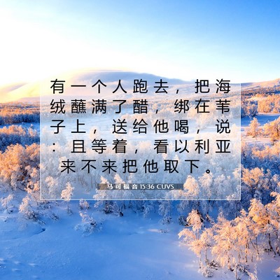 Picture 07 - 马 可 福 音 15:36 CUVS - 有 一 个 人 跑 去 ， 把 海 绒 蘸 满 - Bible Verse Picture