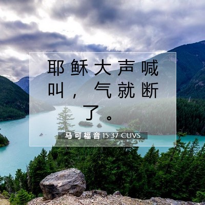 Picture 07 - 马 可 福 音 15:37 CUVS - 耶 稣 大 声 喊 叫 ， 气 就 断 了 - Bible Verse Picture