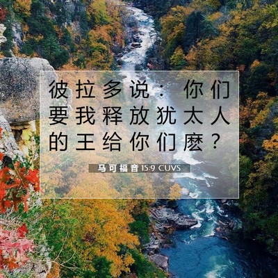 Picture 07 - 马 可 福 音 15:9 CUVS - 彼 拉 多 说 ： 你 们 要 我 释 放 犹 - Bible Verse Picture