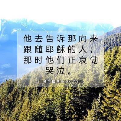 Picture 07 - 马 可 福 音 16:10 CUVS - 他 去 告 诉 那 向 来 跟 随 耶 稣 的 - Bible Verse Picture