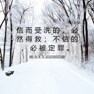 Picture 07 - 马 可 福 音 16:16 CUVS - 信 而 受 洗 的 ， 必 然 得 救 ； 不 - Bible Verse Picture