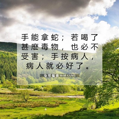 Picture 07 - 马 可 福 音 16:18 CUVS - 手 能 拿 蛇 ； 若 喝 了 甚 麽 毒 物 - Bible Verse Picture