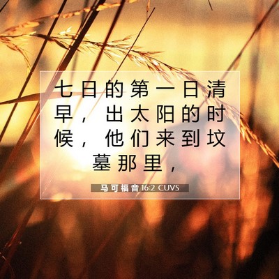 Picture 07 - 马 可 福 音 16:2 CUVS - 七 日 的 第 一 日 清 早 ， 出 太 阳 - Bible Verse Picture