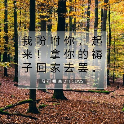 Picture 07 - 马 可 福 音 2:11 CUVS - 我 吩 咐 你 ， 起 来 ！ 拿 你 的 褥 - Bible Verse Picture
