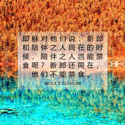 Picture 07 - 马 可 福 音 2:19 CUVS - 耶 稣 对 他 们 说 ： 新 郎 和 陪 伴 - Bible Verse Picture