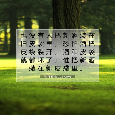 Picture 07 - 马 可 福 音 2:22 CUVS - 也 没 有 人 把 新 酒 装 在 旧 皮 袋 - Bible Verse Picture