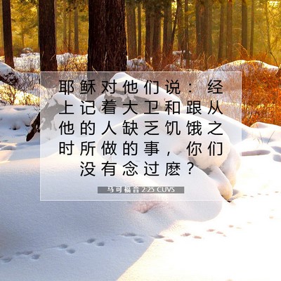 Picture 07 - 马 可 福 音 2:25 CUVS - 耶 稣 对 他 们 说 ： 经 上 记 着 大 - Bible Verse Picture